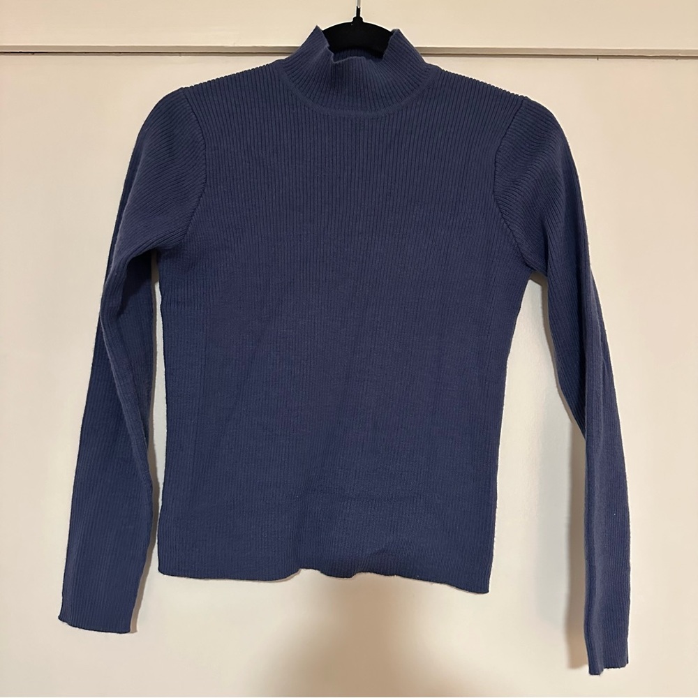 Ann Taylor Loft Wool Turtleneck